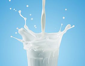 Полезно ли молоко?