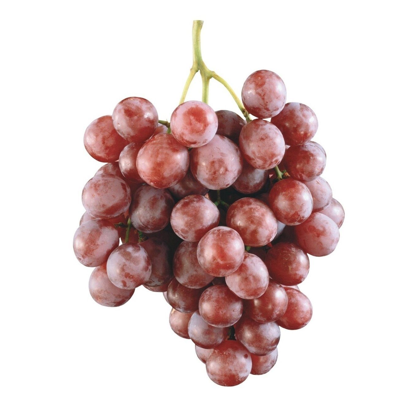 Виноград Ред глоб свежий весовой 