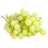 Виноград белый весовой