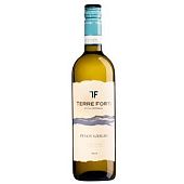 Вино Terre Forti Pinot Grigio delle Venezie белое сухое 0,75л