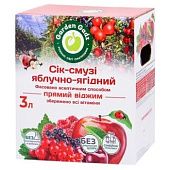 Сок-смузи Garden Gadz Яблочно-ягодный 3л
